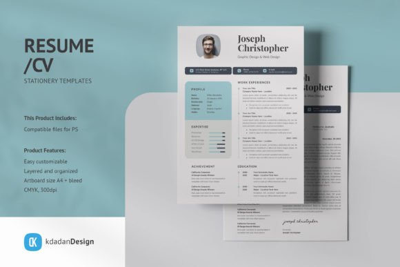 Elevate Your Application: A Deep Dive into Professional Resume Design